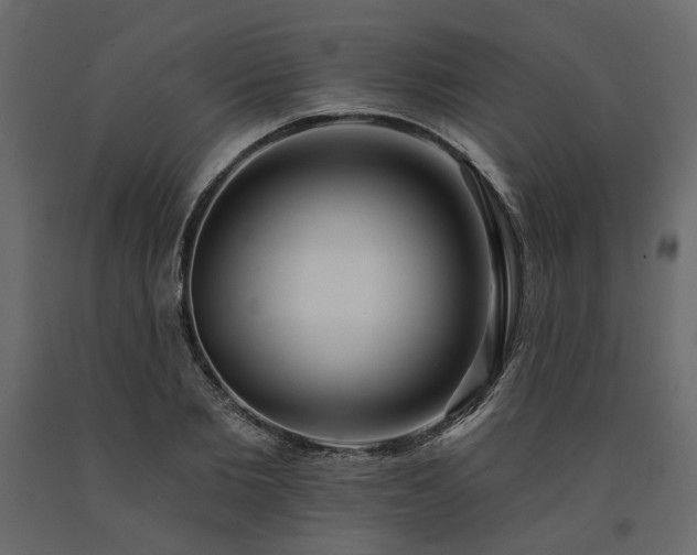 X0000091530885200708241709