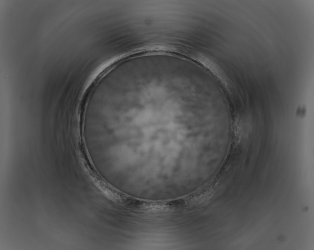 X0000091530886200708241709