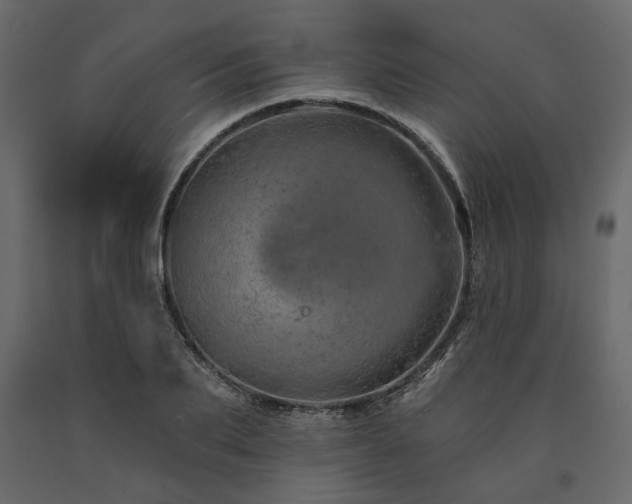 X0000091530887200708241709