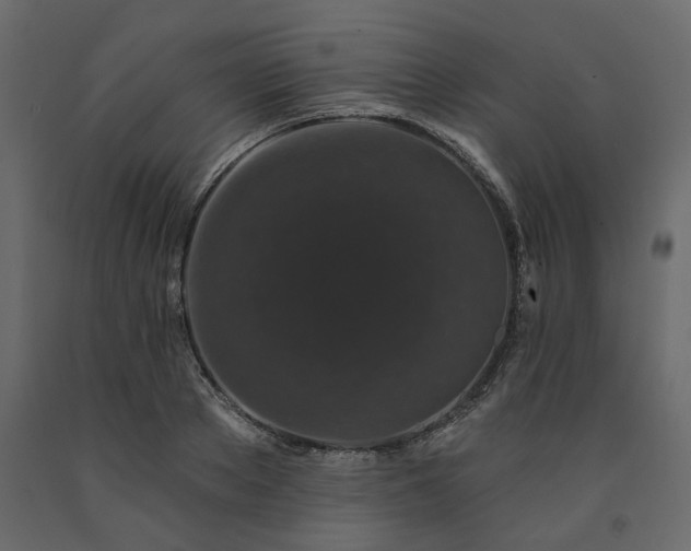 X0000091530889200708241709