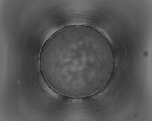 X0000091530890200708241709