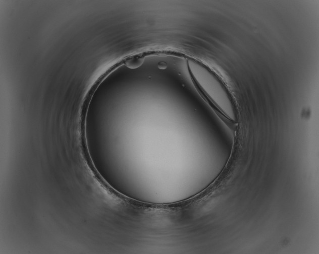 X0000091530894200708241709