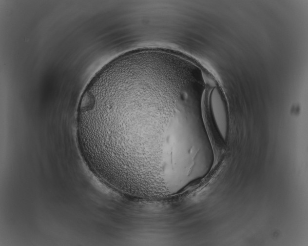 X0000091530895200708241709