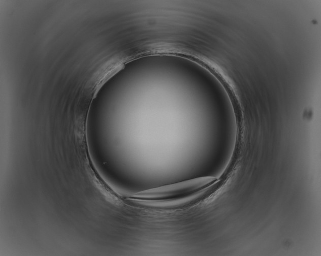 X0000091530897200708241709