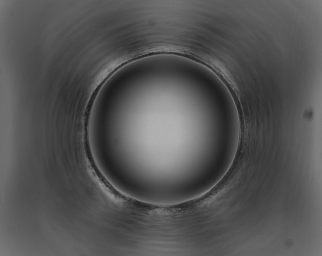 X0000091530898200708241709