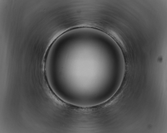 X0000091530900200708241709