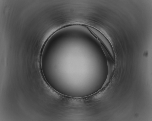 X0000091530901200708241709