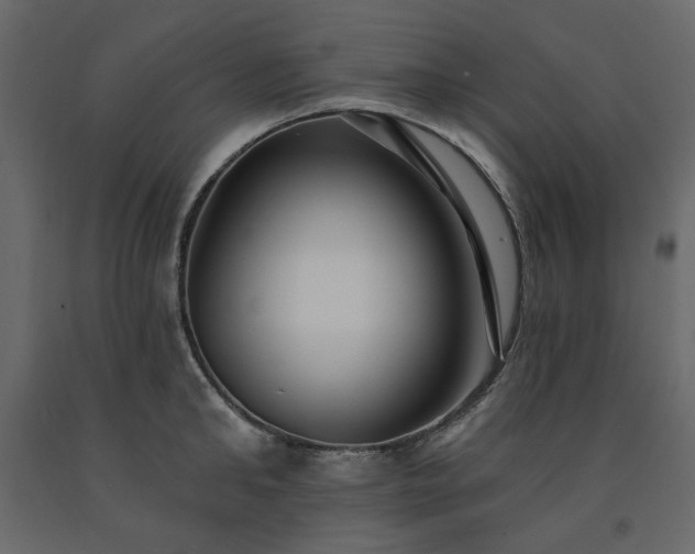 X0000091530902200708241709
