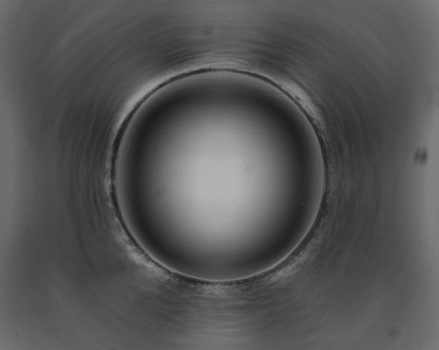 X0000091530904200708241709