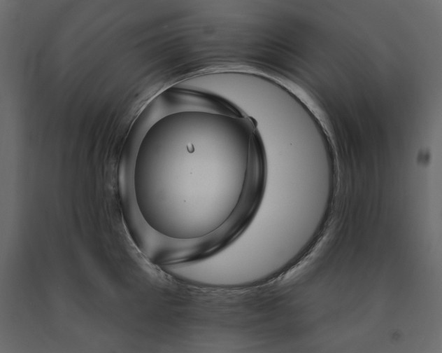 X0000091530905200708241709