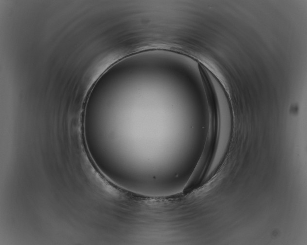 X0000091530906200708241709