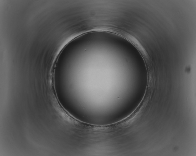 X0000091530908200708241709