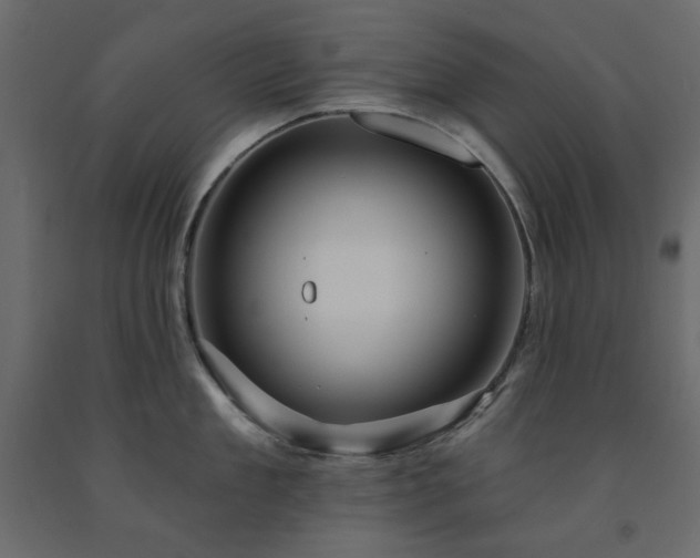 X0000091530909200708241709