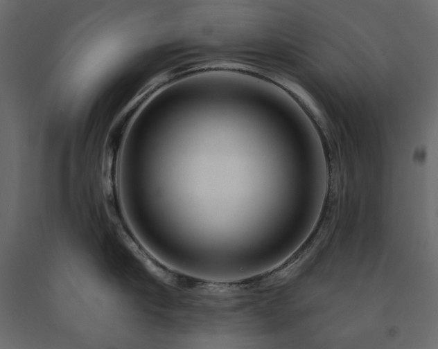 X0000091530910200708241709