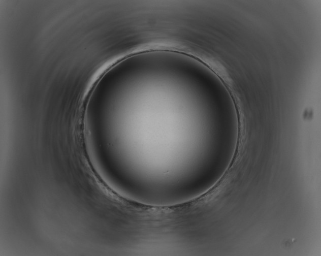 X0000091530912200708241709
