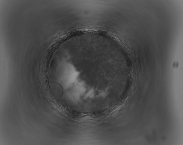 X0000091530913200708241708