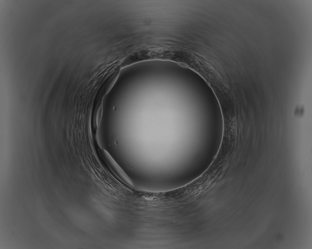 X0000091530914200708241708