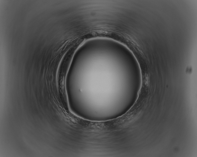 X0000091530915200708241708