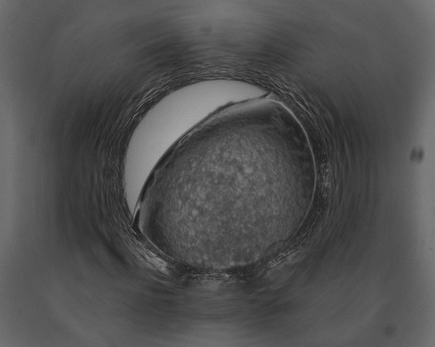 X0000091530916200708241708