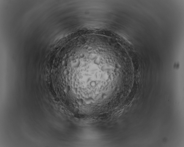 X0000091530917200708241708