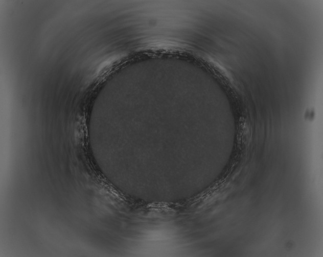X0000091530918200708241708