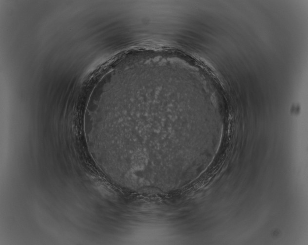 X0000091530919200708241708