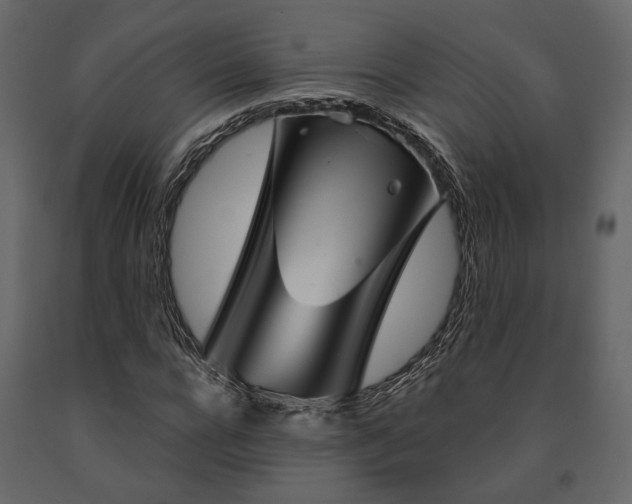 X0000091530920200708241708