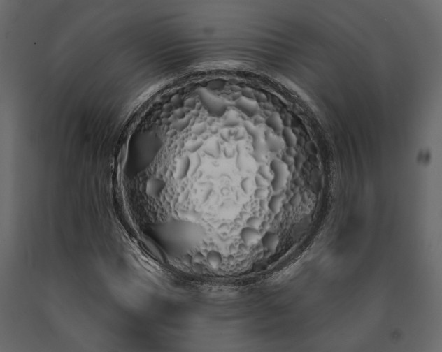 X0000091530921200708241708