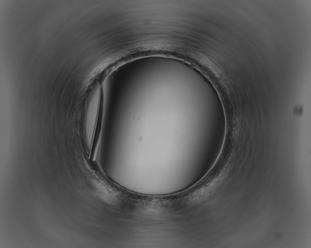 X0000091530922200708241708