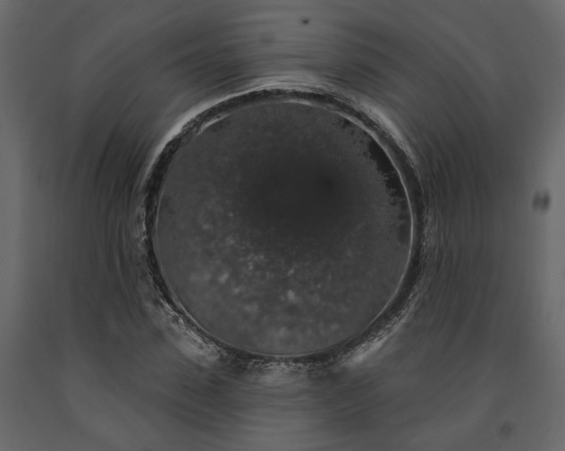 X0000091530923200708241708