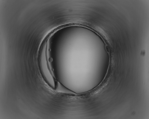 X0000091530924200708241708