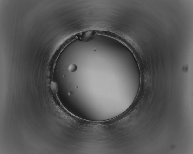 X0000091530926200708241709