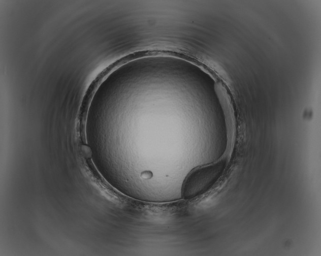 X0000091530928200708241709