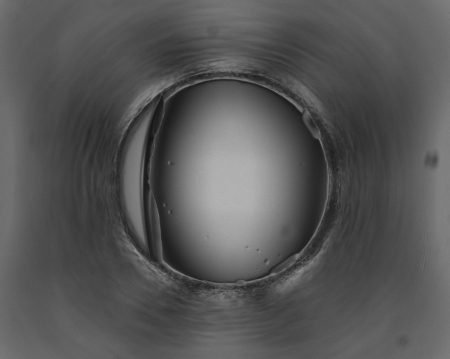 X0000091530930200708241709