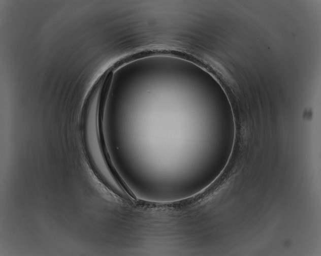 X0000091530934200708241709