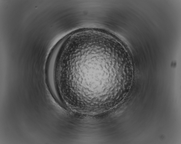 X0000091530935200708241709