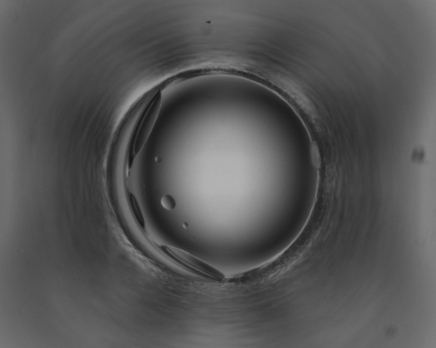 X0000091530936200708241709