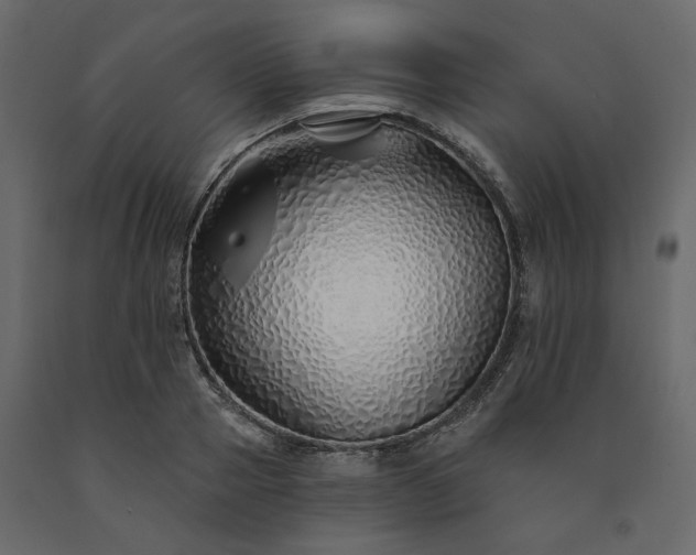 X0000091530937200708241709