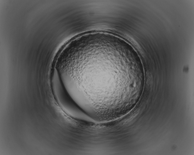 X0000091530939200708241709
