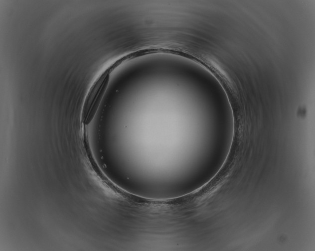 X0000091530940200708241709