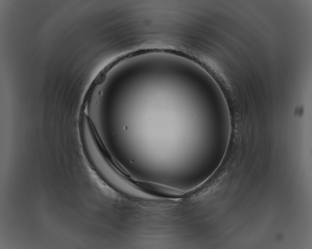 X0000091530942200708241709