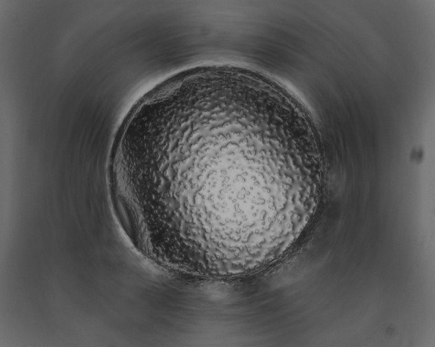 X0000091530943200708241709