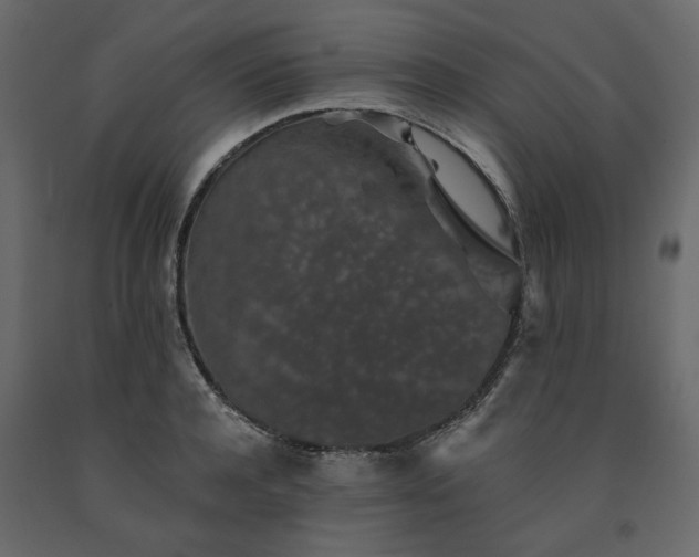 X0000091530944200708241709