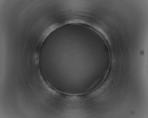 X0000091530945200708241709