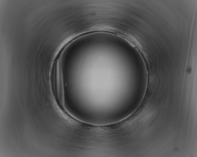 X0000091530947200708241709