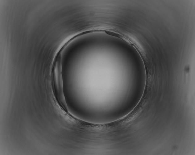 X0000091530948200708241709