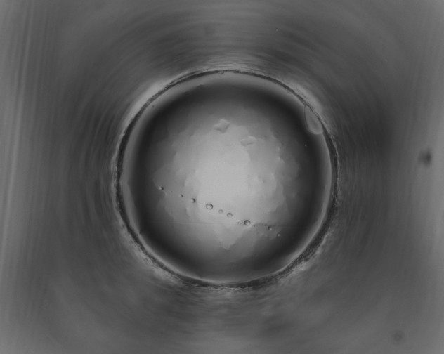 X0000091530949200708241709