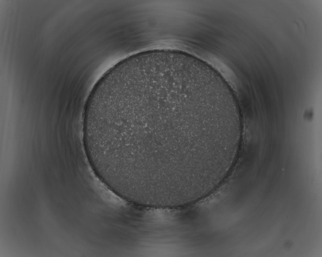 X0000091530950200708241709