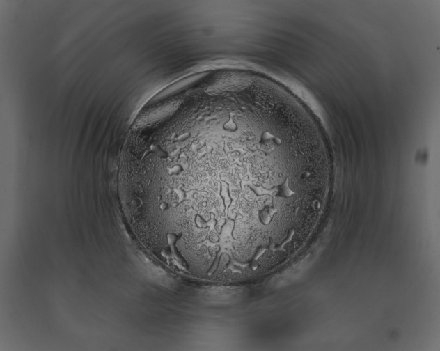 X0000091530953200708241709