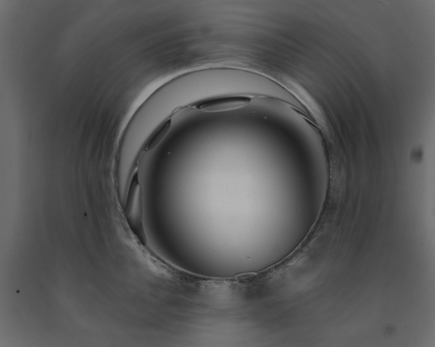 X0000091530956200708241709